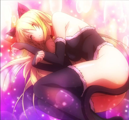 SAKURA_003.jpg