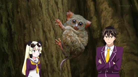 群れなせ！シートン学園　９話場面カット006