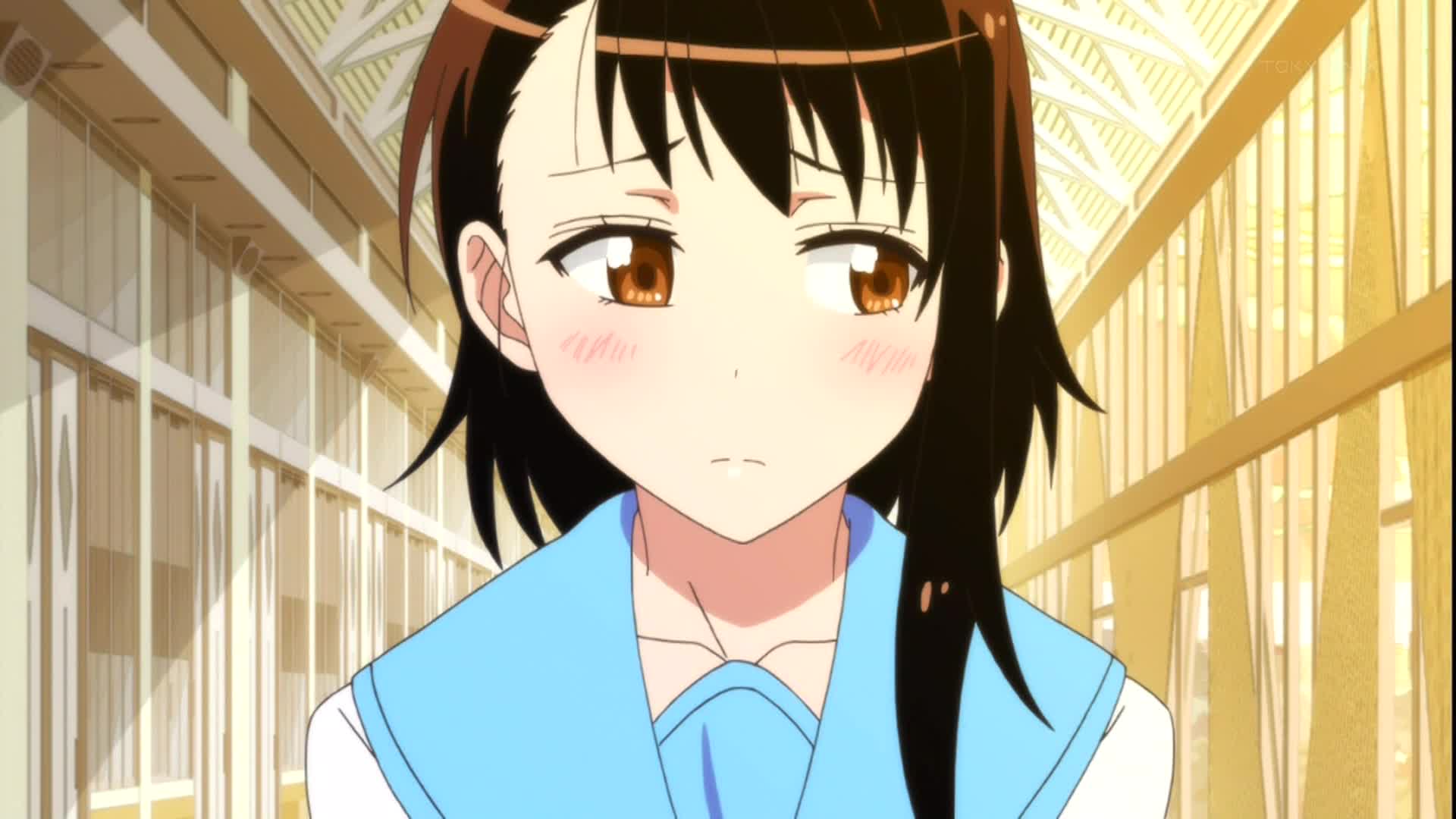 9fe3c67a.jpg