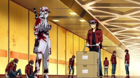 はたらく細胞BLACK　１話場面カット029