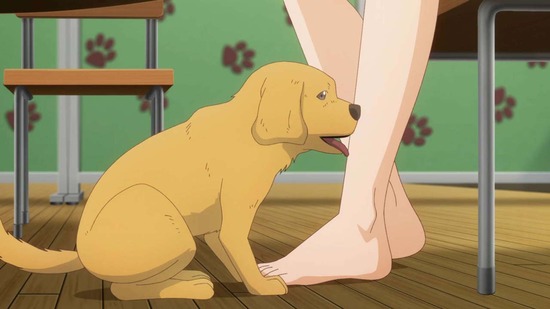 犬になったら好きな人に拾われた。 11話場面カット028