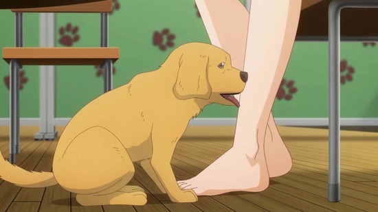 犬になったら好きな人に拾われた。　１１話場面カット028