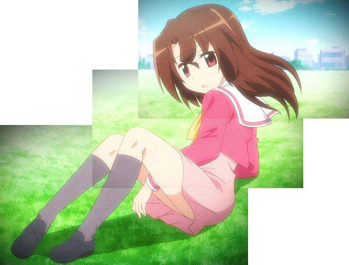 2sdz003.jpg