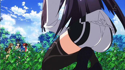 VIVIDRED_007_20130223143546.jpg