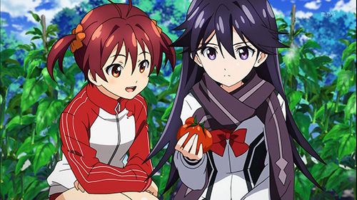 VIVIDRED_008_20130223143546.jpg