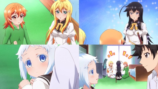 15Aki15Ani8aa007