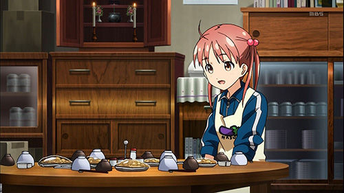 VIVIDRED_015_20130223143814.jpg