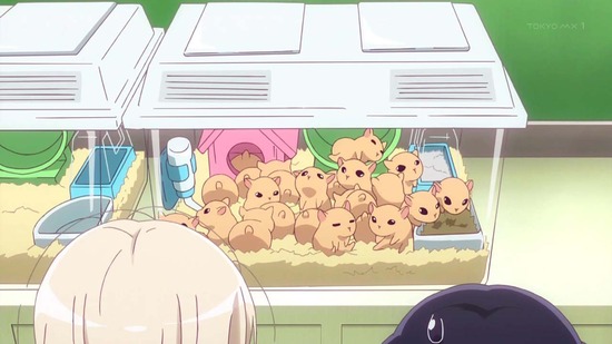 うちのメイドがウザすぎる! 3話場面カット027