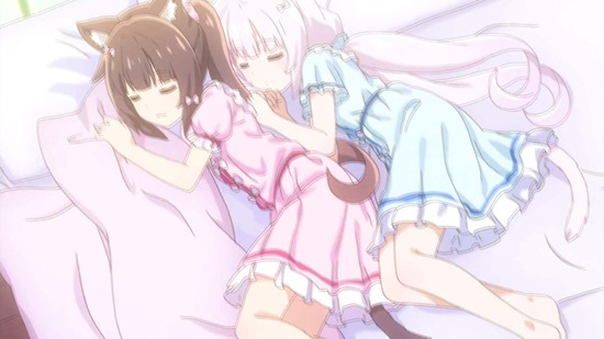 ネコぱら 1話番組カット001