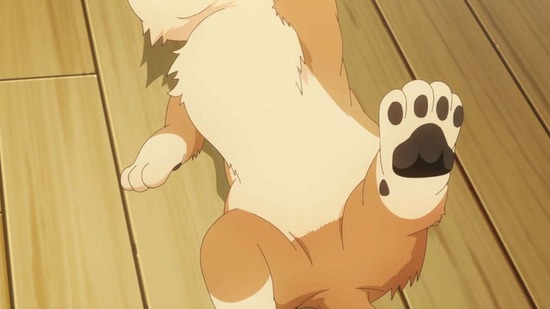 犬になったら好きな人に拾われた。 8話場面カット037