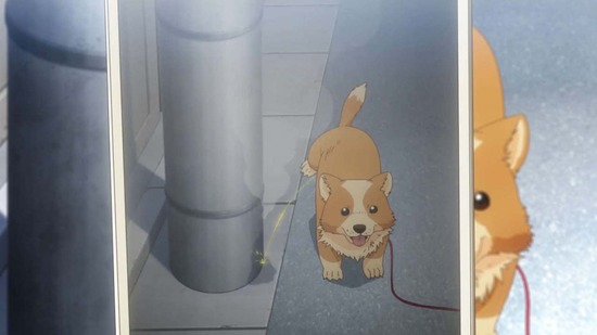犬になったら好きな人に拾われた。 2話場面カット019