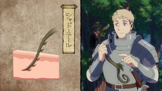 ダンジョン飯　１話場面カット45