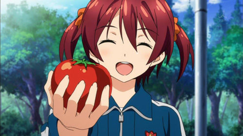 VIVIDRED_025.jpg