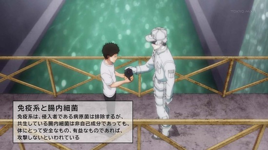 はたらく細胞!! 6話場面カット019