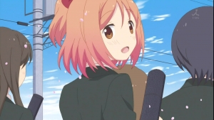 fa9f6d10.jpg