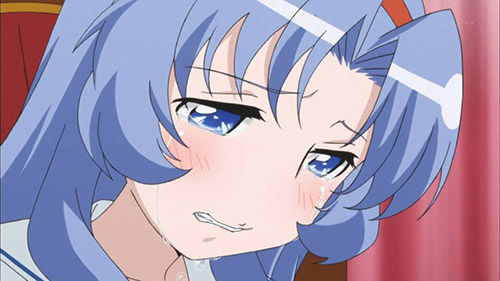 KOTOURASAN_003_20130403133608.jpg