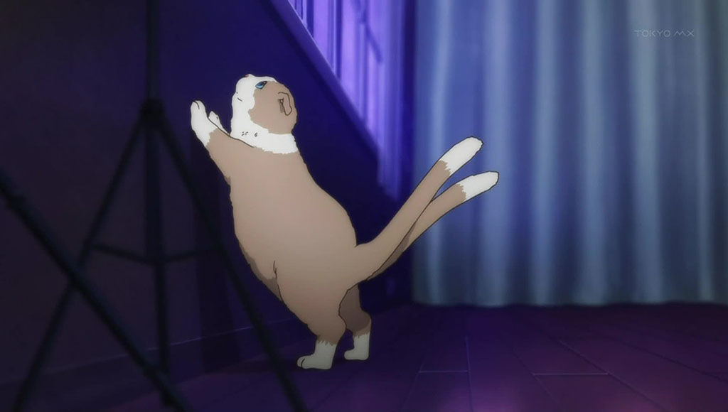 1cbrzxrmg030.jpg