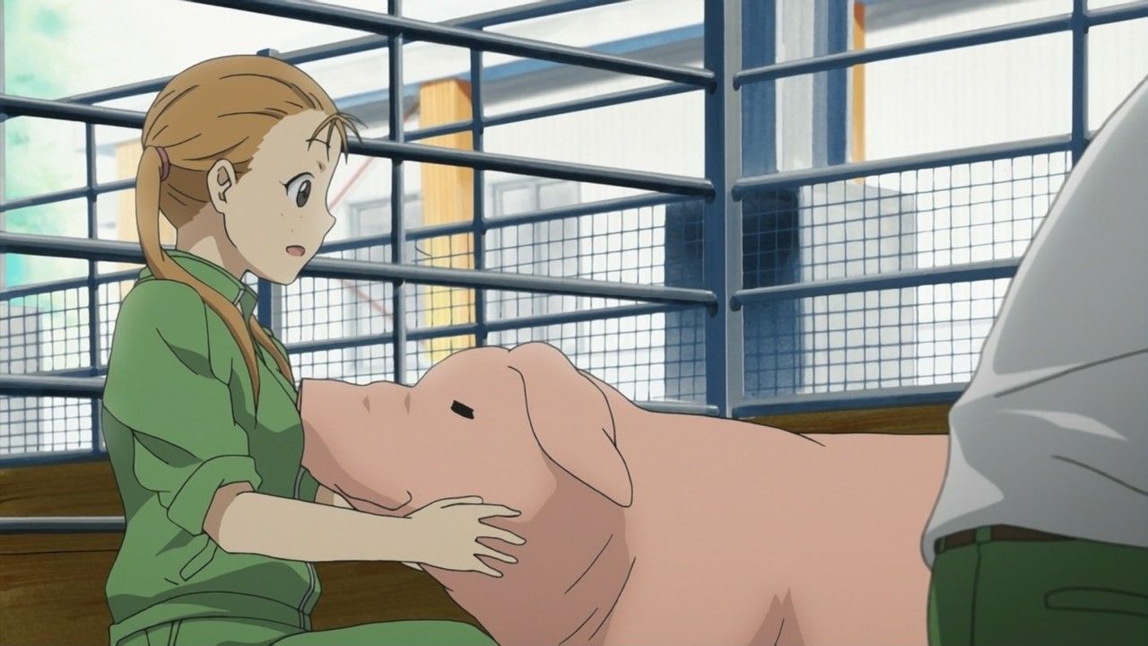 銀の匙 Silver Spoon 第10話の感想まとめ 吉野は何故ヒロインになれなかったのか いいや 吉野は俺のヒロインだ 画像あり 旧あにまん