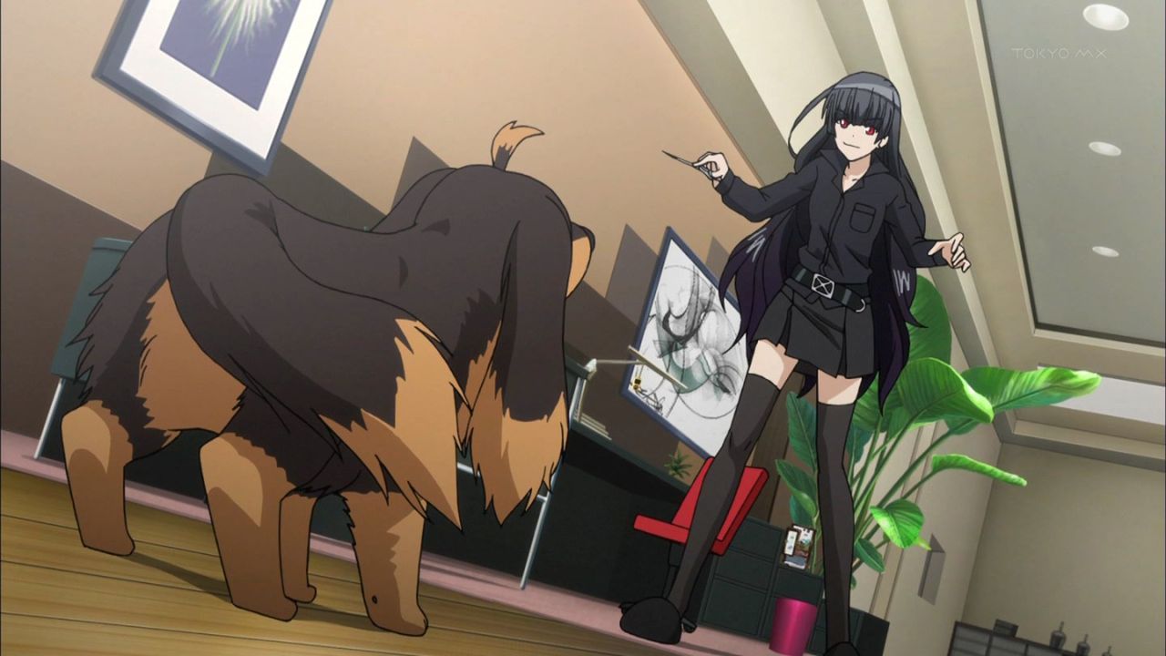 犬とハサミは使いよう 第1話 犬も歩けば棒に当たる の感想まとめ 画像あり 旧あにまん 犬とハサミは使いよう 第1話 犬も歩けば棒に当たる の感想まとめ 画像あり 旧あにまん