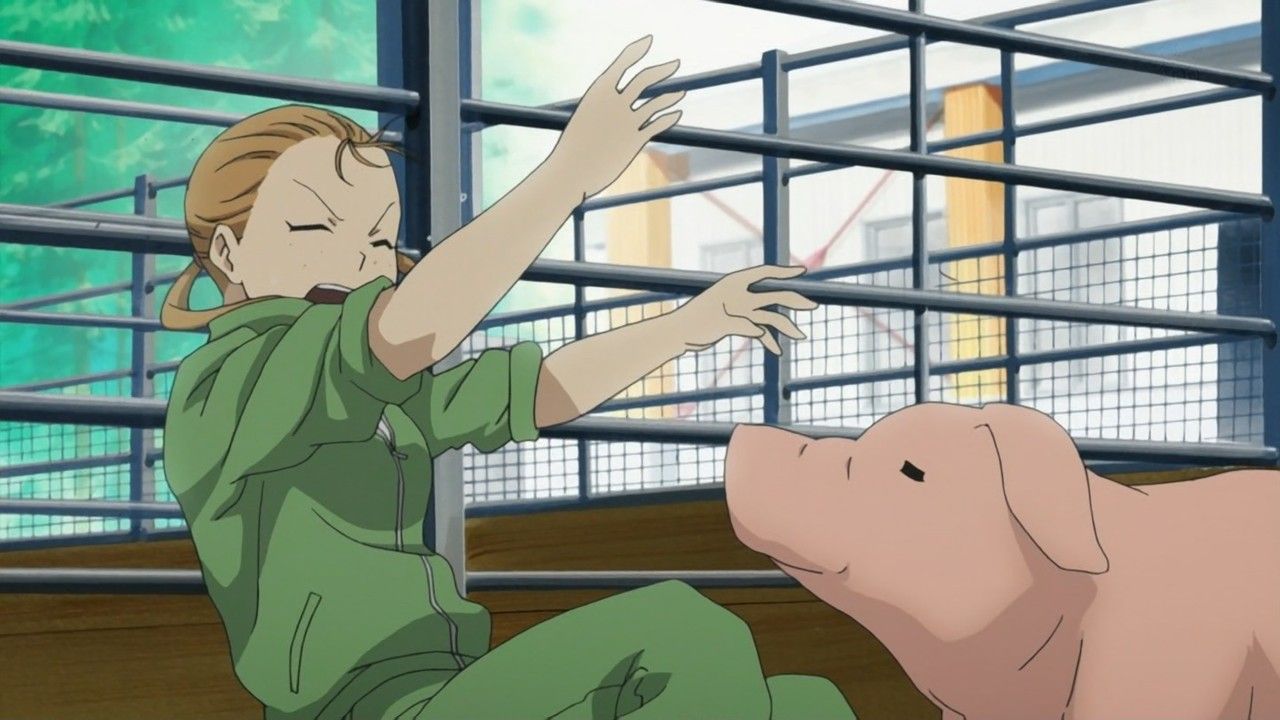 銀の匙 Silver Spoon 第10話の感想まとめ 吉野は何故ヒロインになれなかったのか いいや 吉野は俺のヒロインだ 画像あり 旧あにまん