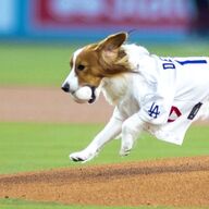 えっ、そんなことあったの！？大谷翔平×「遊☆戯☆王」の裏話
