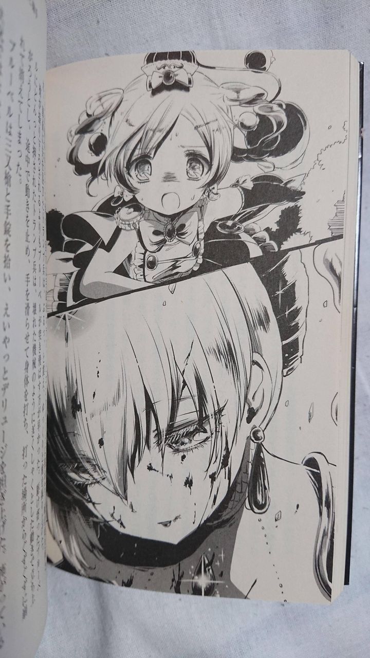 魔法少女育成計画とかいうアニメwwwwwwwwwwww 気になるアニメ速報