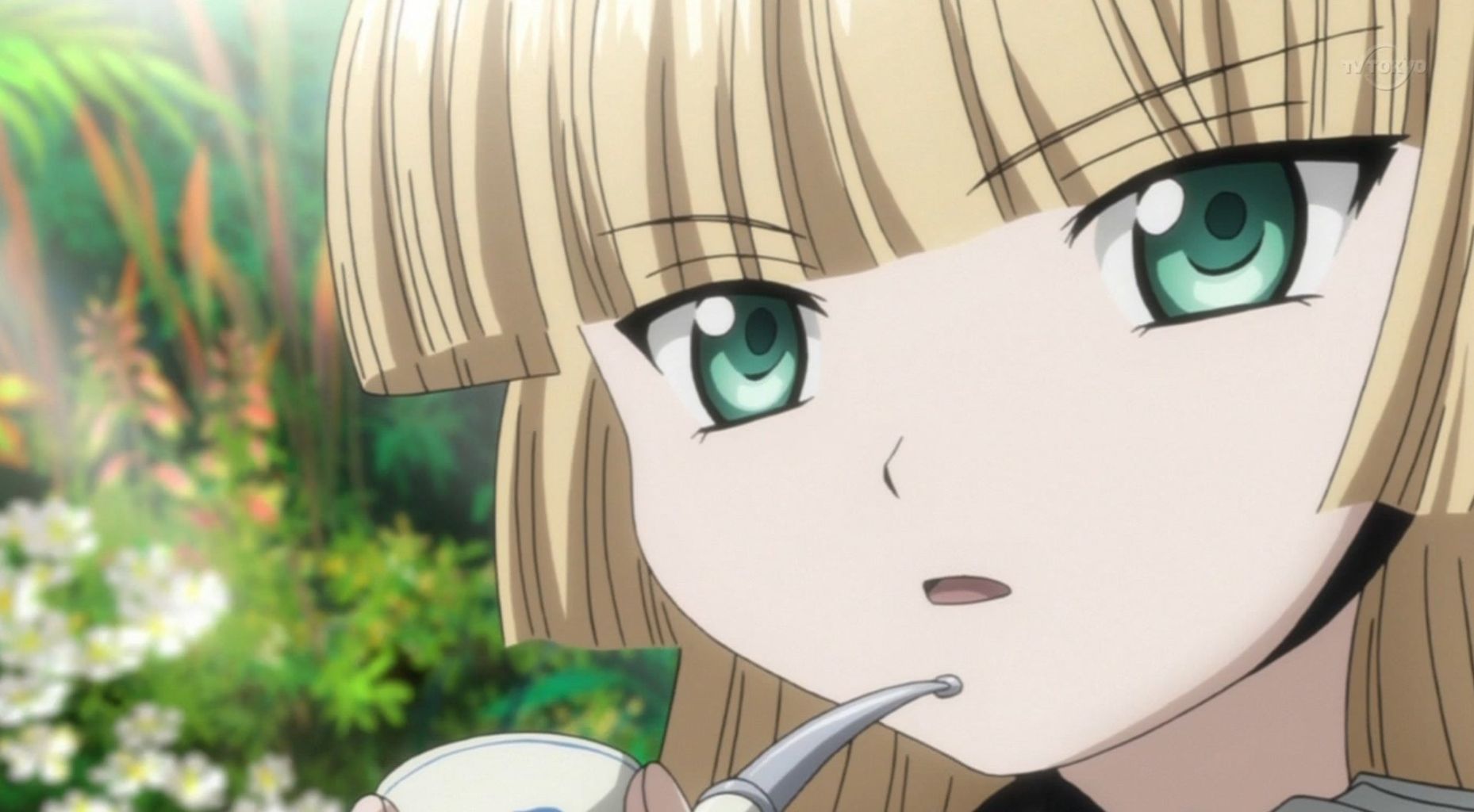 考察 Gosick ゴシック は木 推理 を見ないで森を見て欲しい 所詮 すべては戯言なんだよ