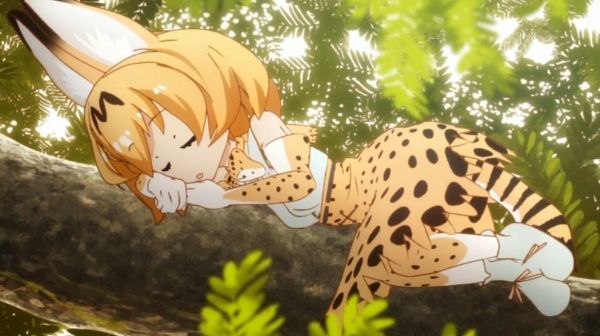 けものフレンズ 大人気のサーバルちゃんにお触りできる動物園があるぞ すごーい かーわいー あにれこ けものフレンズ 大人気のサーバルちゃんにお触りできる動物園があるぞ すごーい かーわいー あにれこ