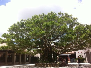 写真 3 (1)
