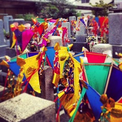 写真 (8)