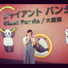 写真 (2)