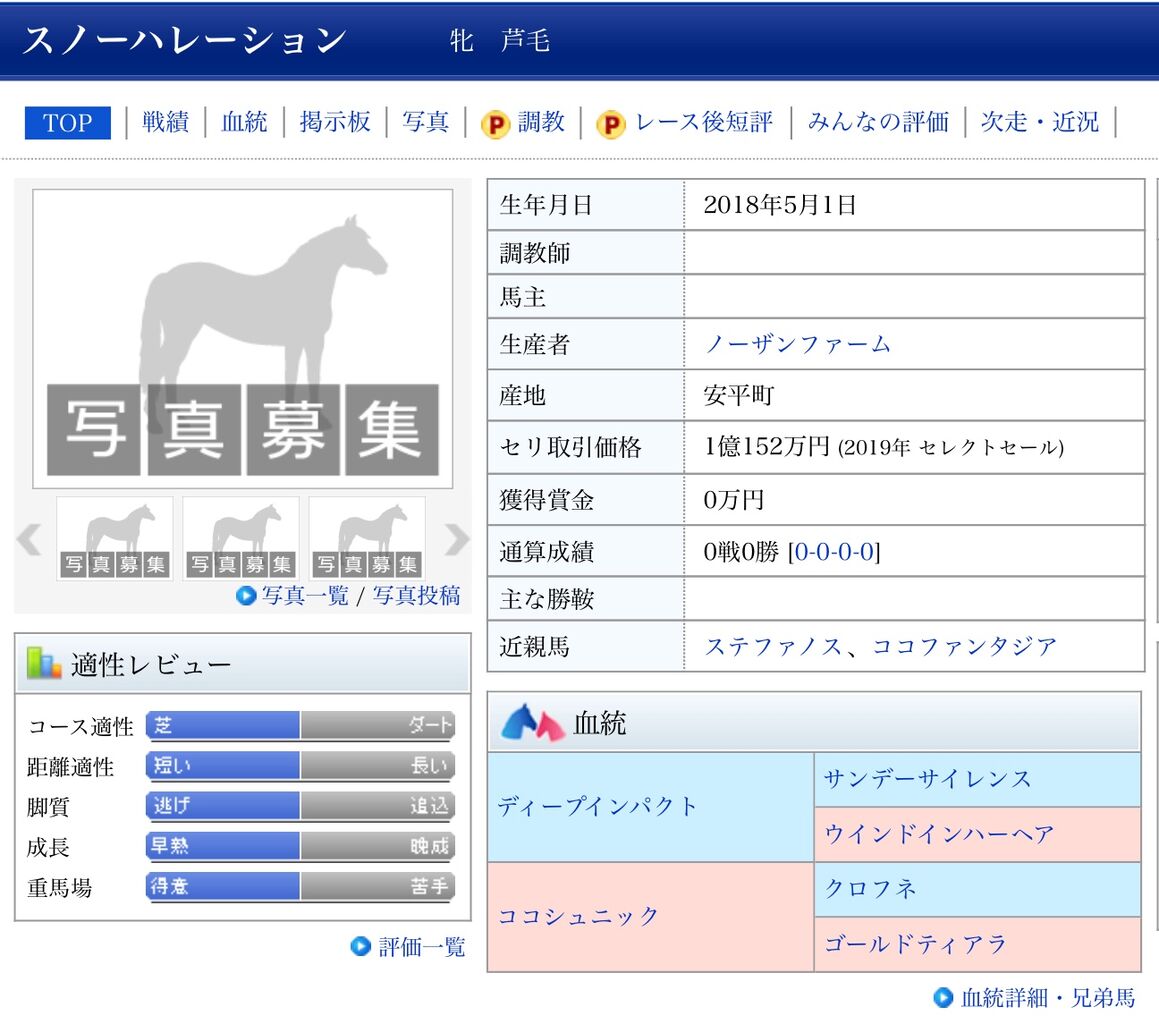 競走馬にしても違和感ない名前のラブライブキャラ ラブライブ 曜ちゃんのヨーソロー 速報