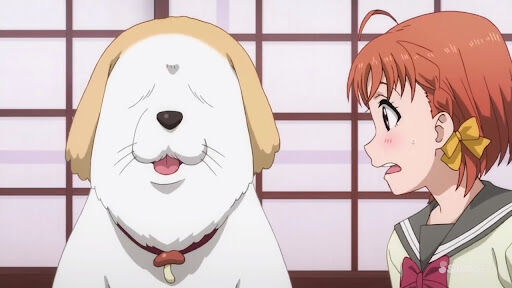 千歌 このぉ バカ犬ー しいたけがやってそうな事 ラブライブ ゼロ魔 ラブライブ 曜ちゃんのヨーソロー 速報