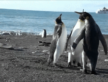 ちゅんるん ペンギンみたいな握手をしてしまう ラブライブ 声優 ラブライブ 曜ちゃんのヨーソロー 速報