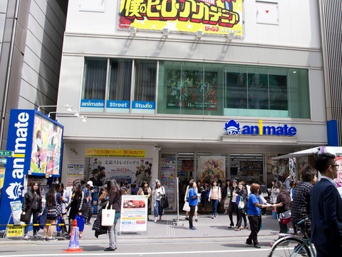 animate honten