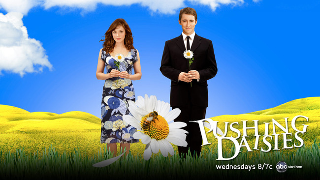 Cast-Photos-pushing-daisies-332793_1280_720