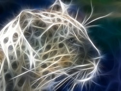 壁紙 幻想的な動物の壁紙 Part2 あにまるワロス 壁紙 幻想的な動物の壁紙 Part2 あにまるワロス