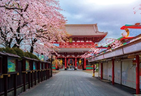 浅草寺背景布
