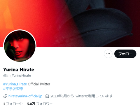 【元櫻坂46】平手友梨奈がインスタ、ツイッターを開設！！！