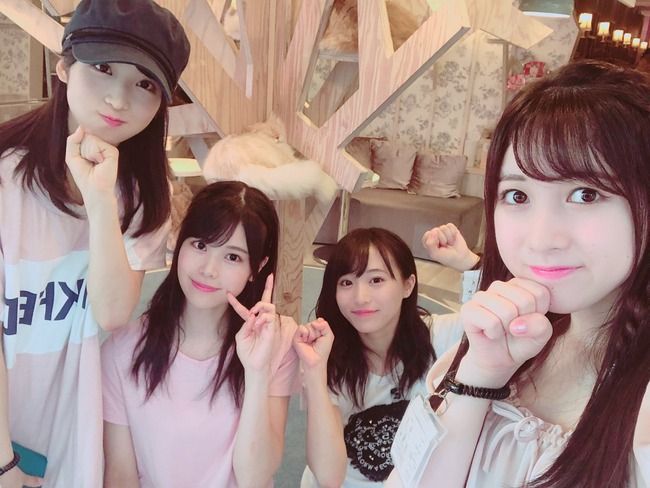 【悲報】猫カフェで遊んだチーム8メンバー小栗有以、吉川七瀬、坂口渚沙、永野芹佳が、猫愛護団体からバッシングを受ける・・・【AKB48】