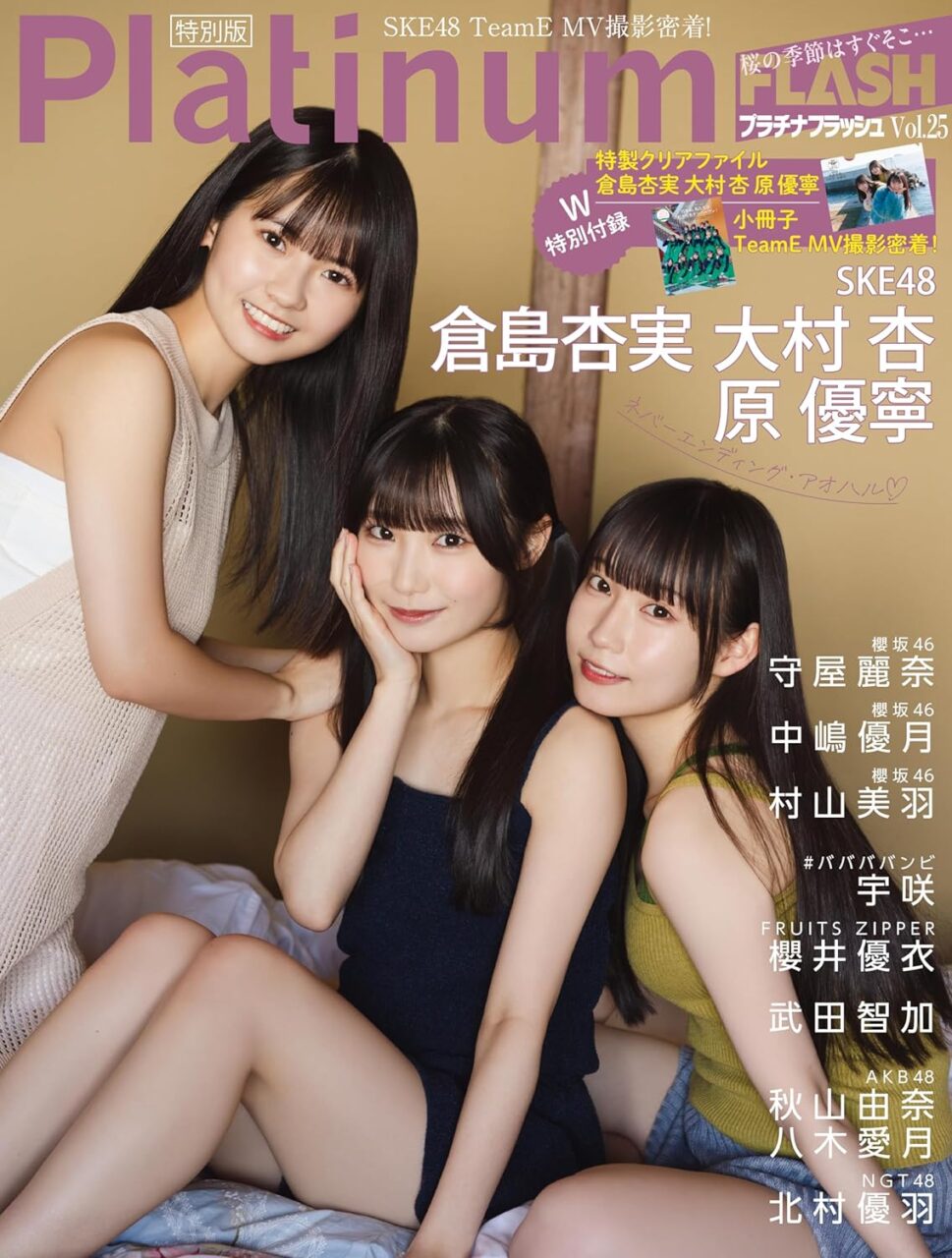 Platinum FLASH Vol.25 特別版