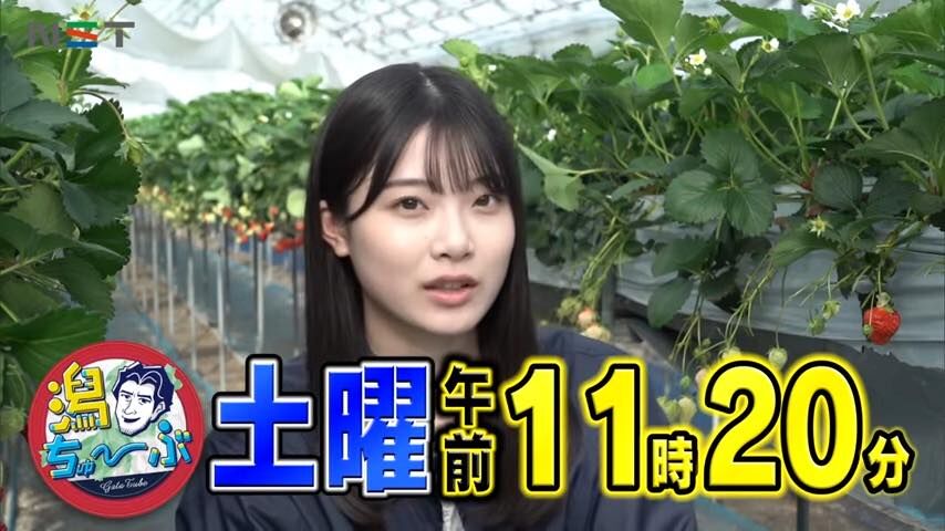 NGT48 大塚七海・小越春花が「潟ちゅーぶ」に出演！【2024.4.27 11:20〜 新潟総合テレビ】