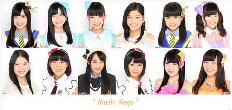 【AKB48】初期のユニットが全て解散して虫シリーズだけが残ったな