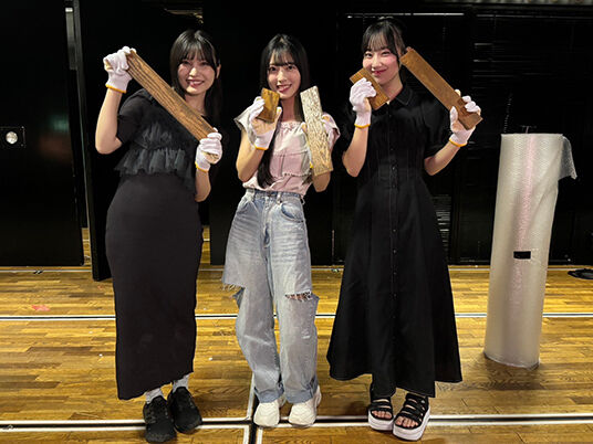 【珍報】AKB48さん床材キーホルダー販売!!【税込8,800円 旧AKB48劇場のステージ床をキーホルダーにしちゃいました!】