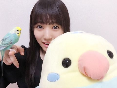 矢吹奈子 『給食の時、男子が牛乳を飲んでる時に笑わせてやったw』