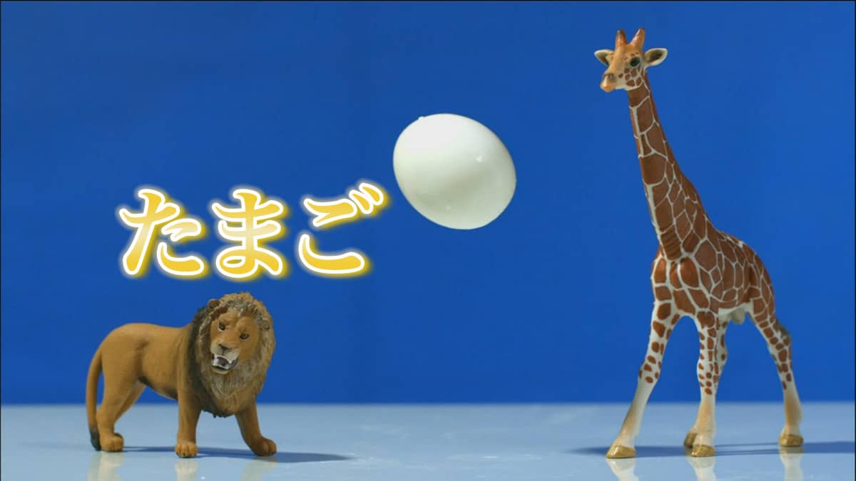 指原莉乃が「ガッテン！」に出演！目玉焼き＆卵焼き極うまSP
