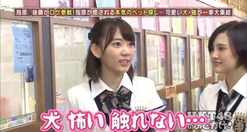 【案の定】宮脇咲良の「犬、怖い。触れない。」は只の設定だった.....