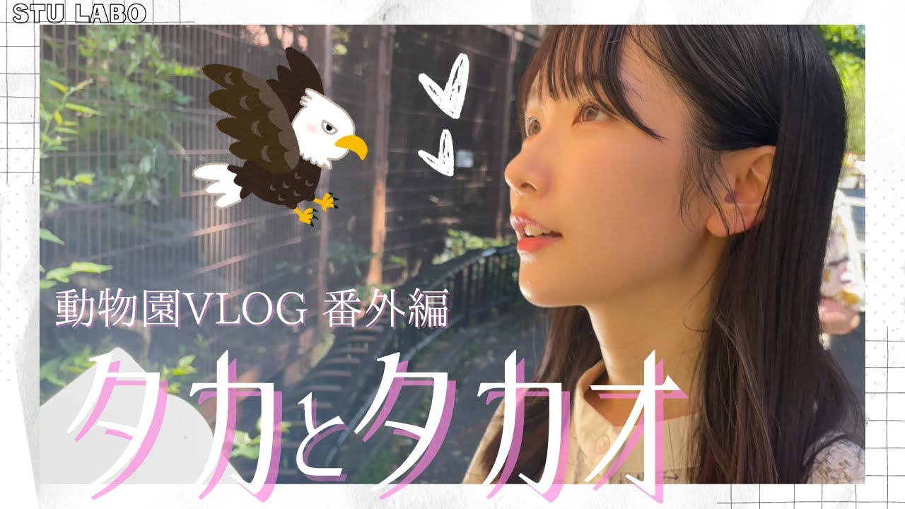 【動画】「STU LABO」#55：高雄さやか「サヤゴロウどうぶつ王国」タカとタカオ（ほぼノーカット）編
