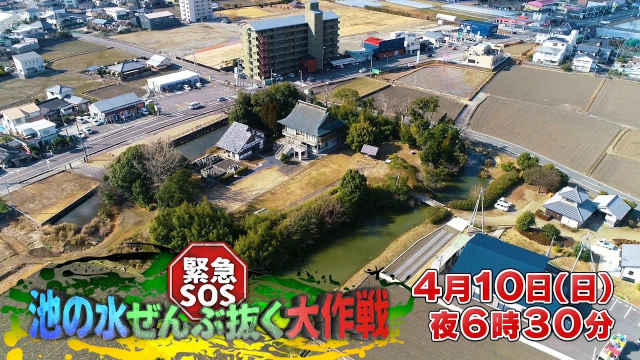 大家志津香が「緊急SOS！池の水ぜんぶ抜く大作戦」に出演！幻の天下人の名城お宝だ！全112池巨大怪物【2022.4.10 18:30〜 テレ東】