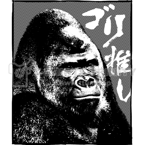 【AKB48】運営がゴリ押すと好きだったメンバーも正直あまり好きじゃなくなっていくよね